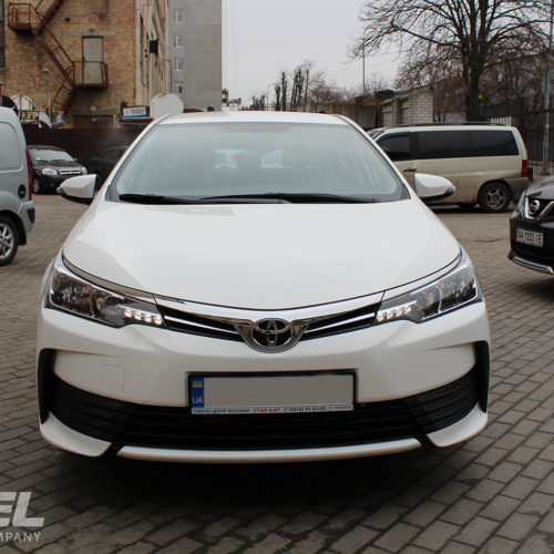 Toyota Corolla Rental