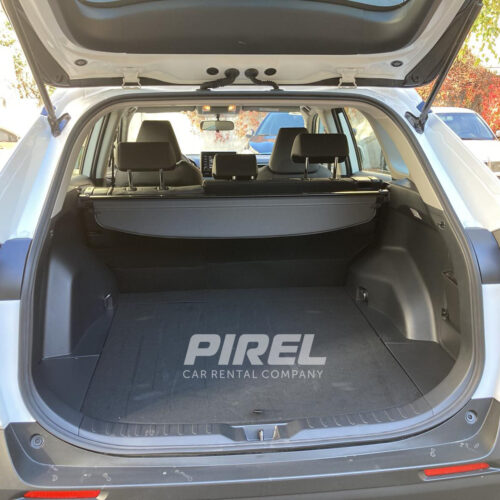 RAV4 car rental